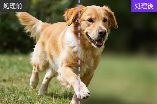 AI背景ぼかし機能の使用例